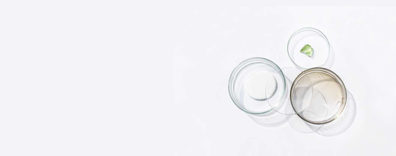 Все, що потрібно знати про HISTOMER та меристемні клітини рослин